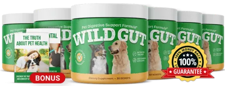 wildgut 6 bottles