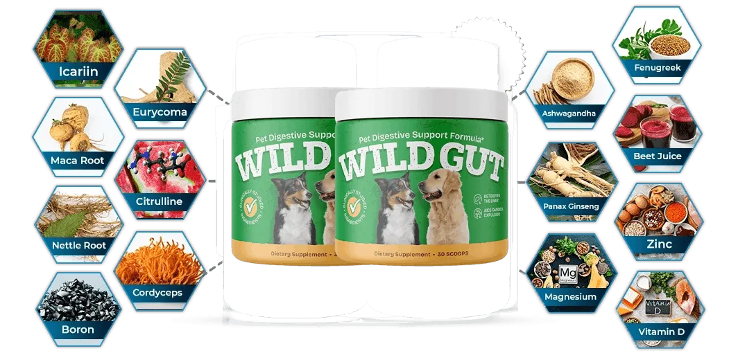 wildgut all ingredients presentation
