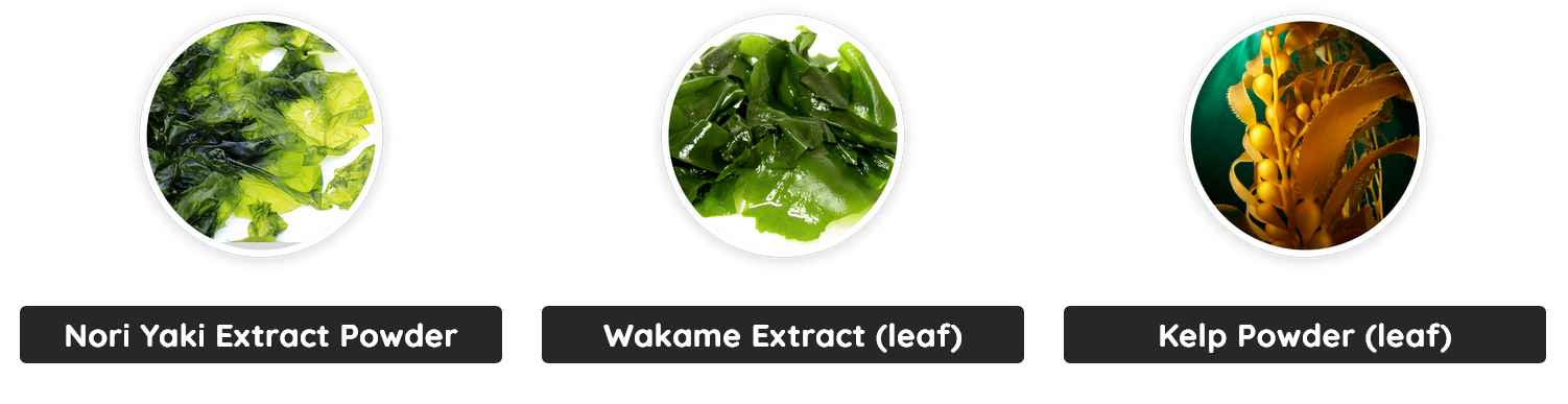 ingredient - 1