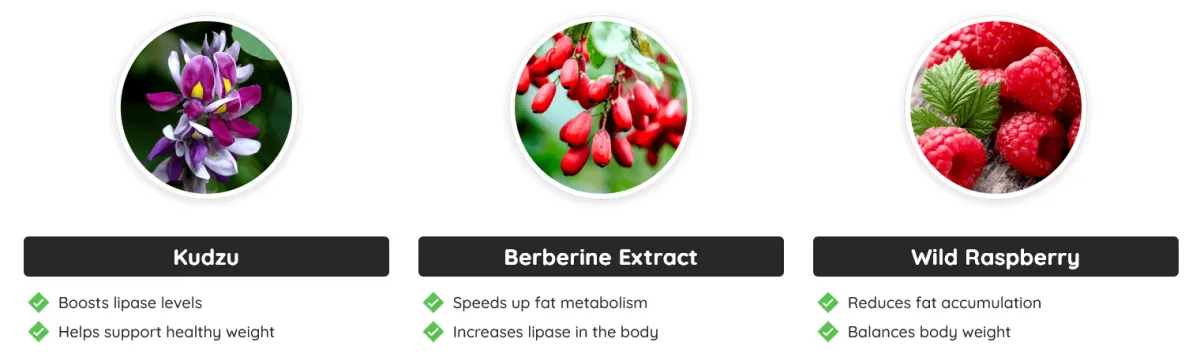 ingredients - 1