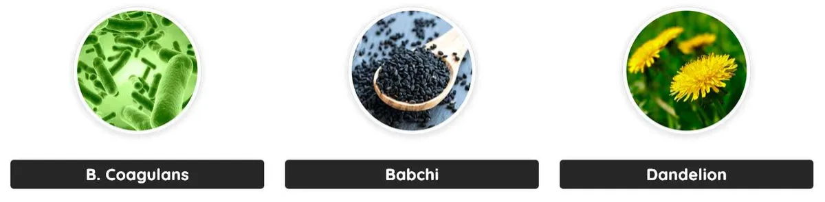 ingredients - 1