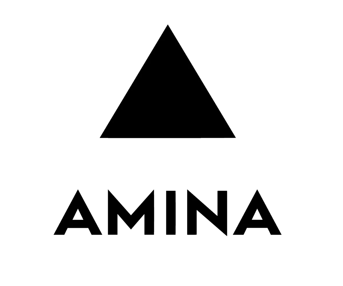 Amina invisible speakers installed by FM Tech