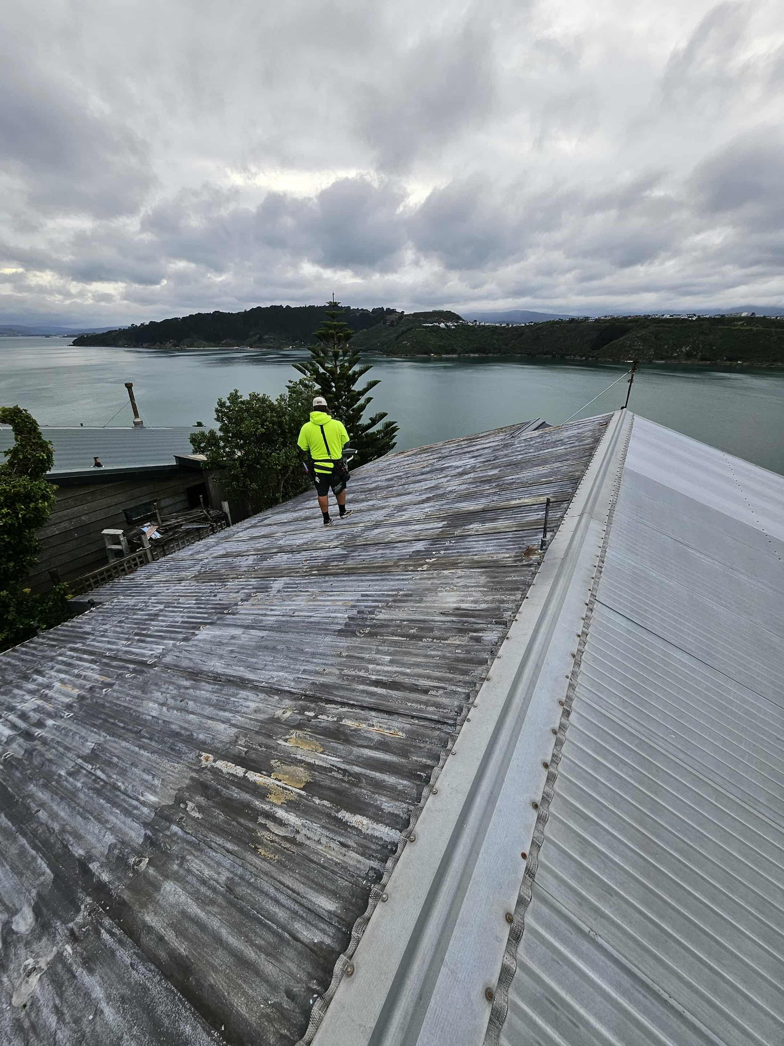 Example of re-roofing project completed by Ultimate Roofing and Cladding in Wellington NZ
