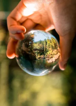 Redemption Marketing's Scout's Report gives you clarity on your entire marketing ecoystem