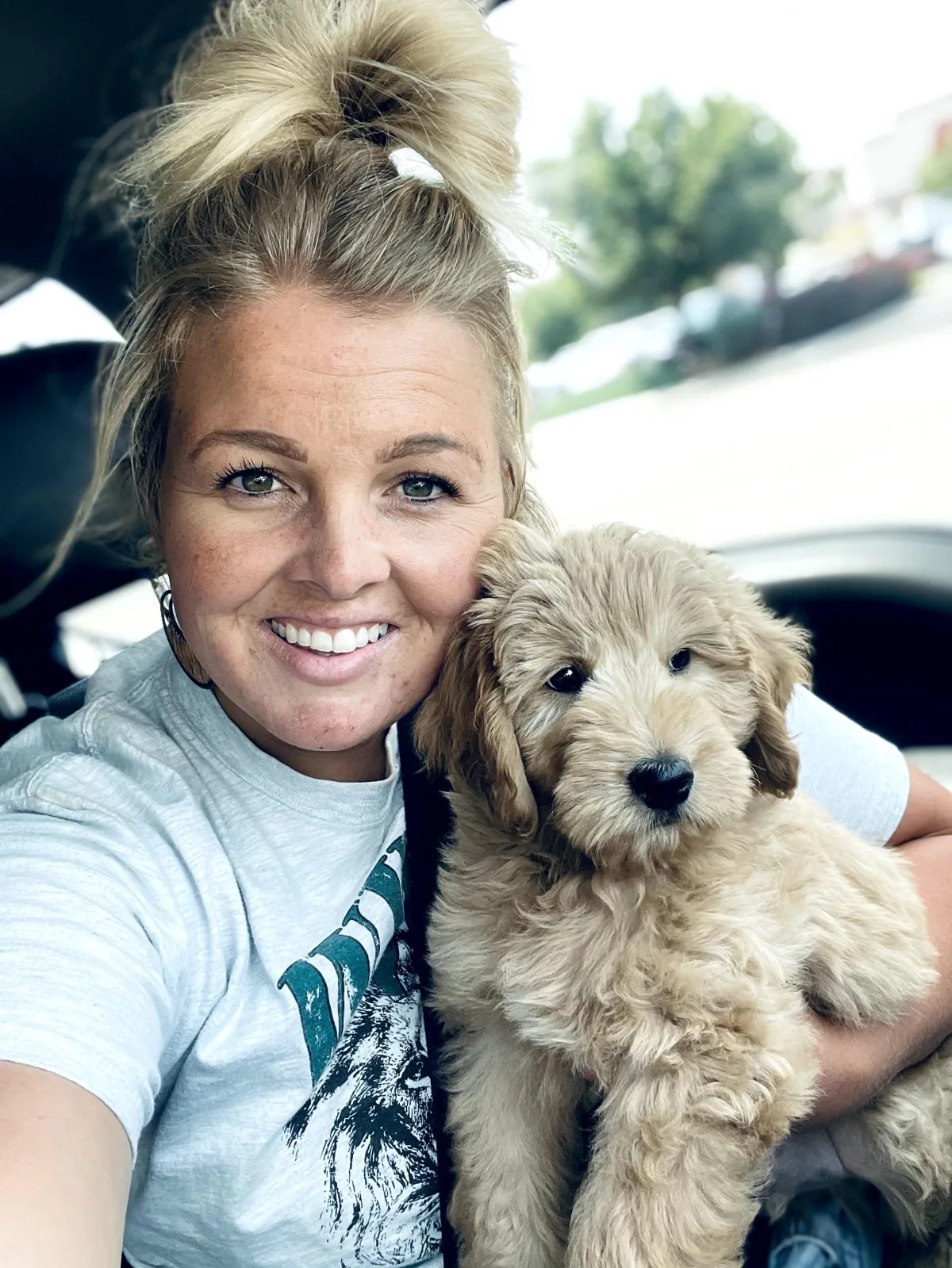 goldendoodle, mini goldendoodle, teddybear goldendoodle, poodle mixgoldendoodle