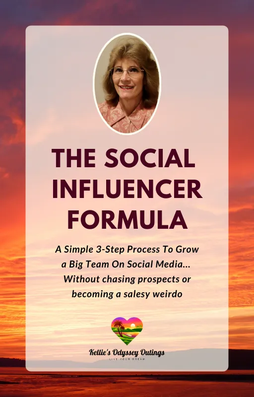 The Social Influencer Formula