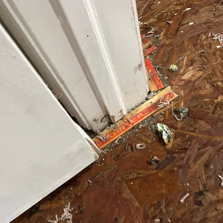 Water damaged door frame and flooring in Plano, TX
