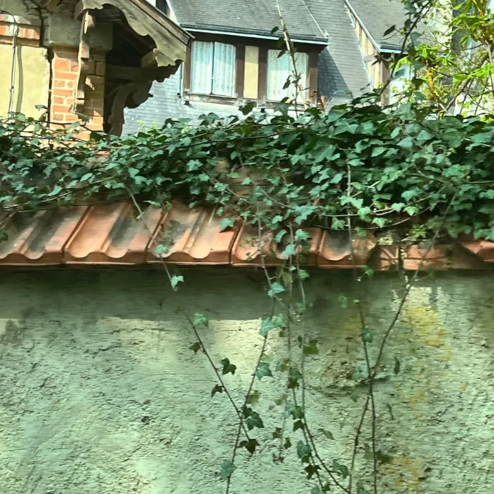 Exterior building damage covered in overgrown ivy in Plano, TX"