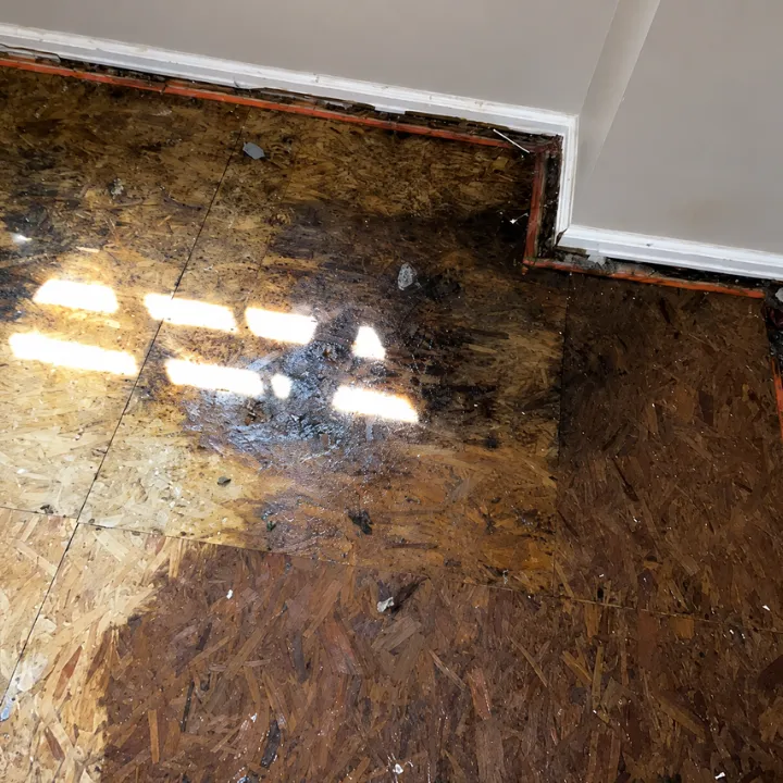 Flood damaged hallway with mud and debris in a Plano, TX home
