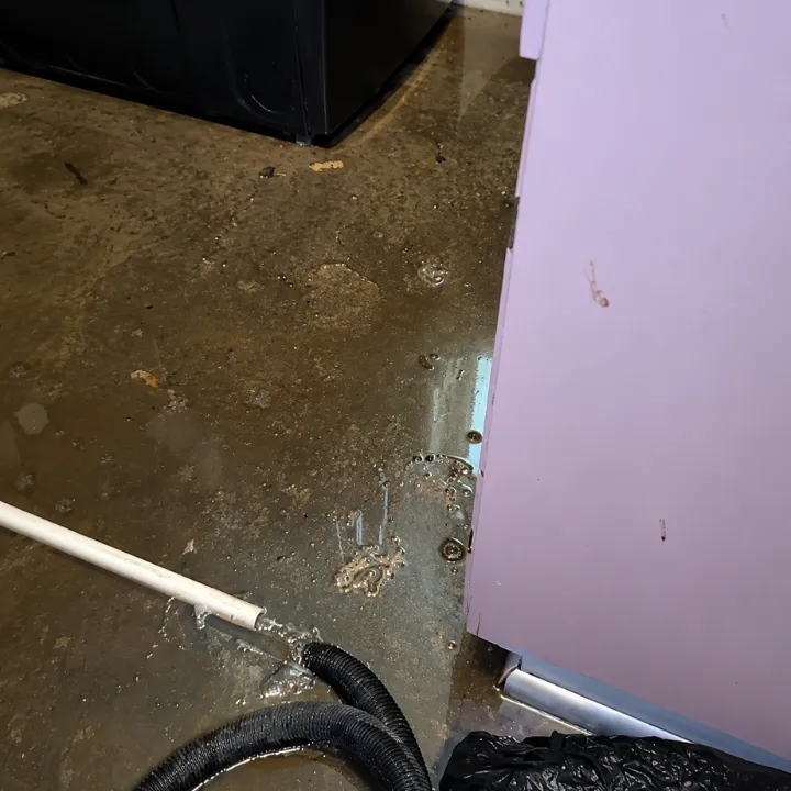 Technician extracting water from a flooded floor in Plano, TX