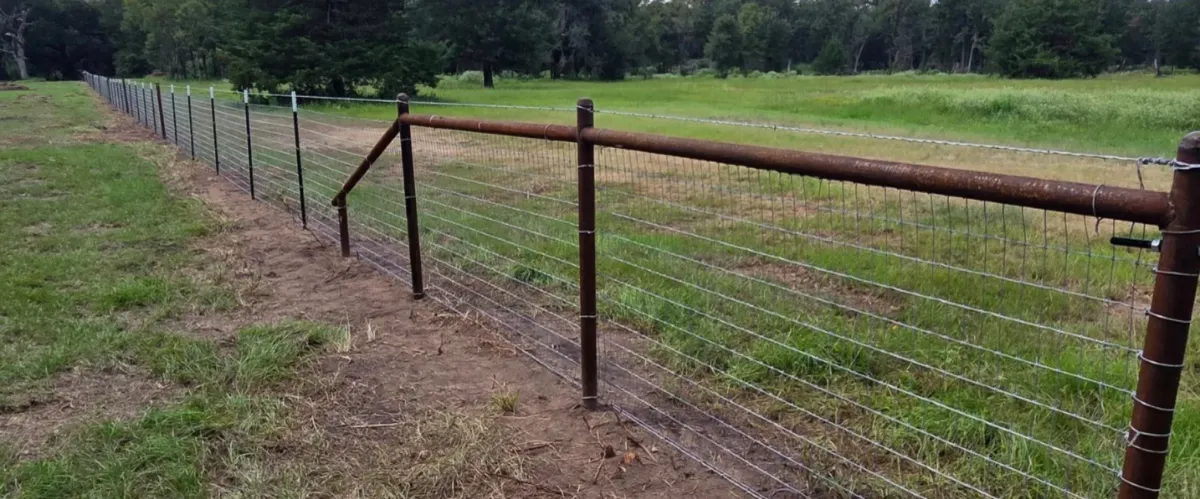 Rustic wire farm fence running along grassy field
