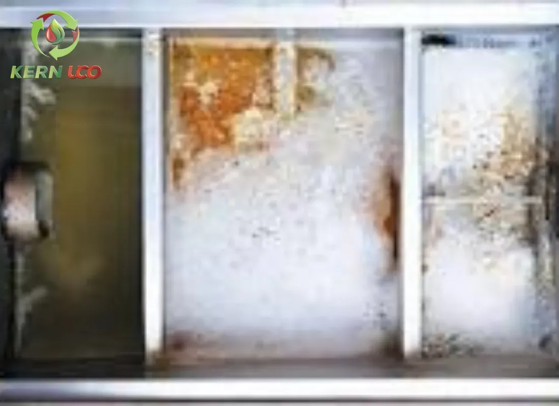 Grease Trap Cleaning and Used Cooking Oil Collection: What Every Restaurant Needs to Know