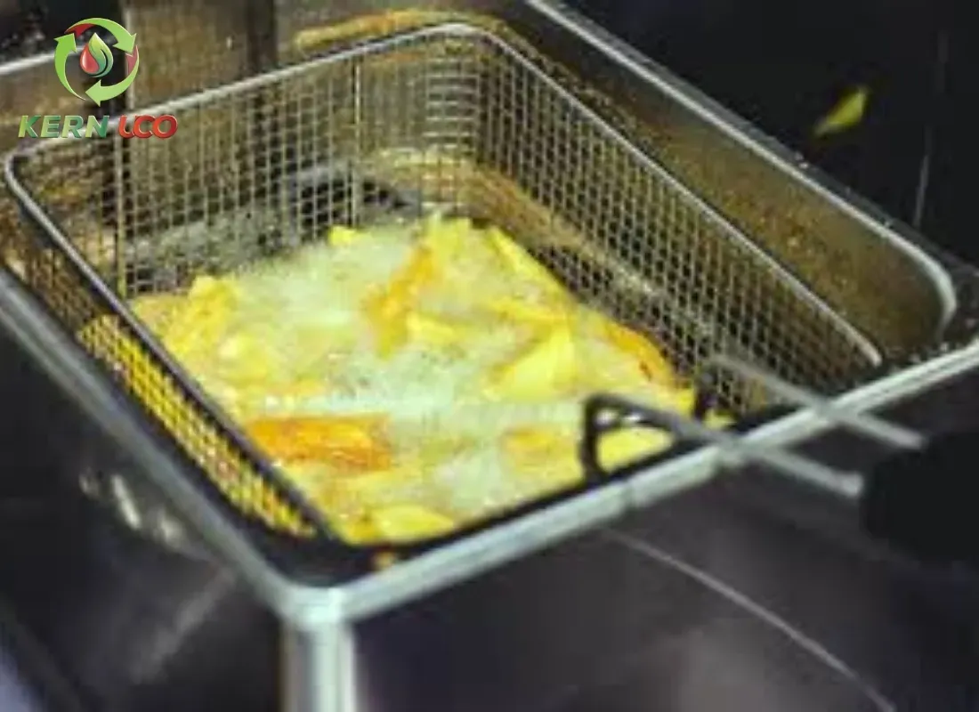 Why Restaurants Need Professional Fryer Oil Collection Services in 2026