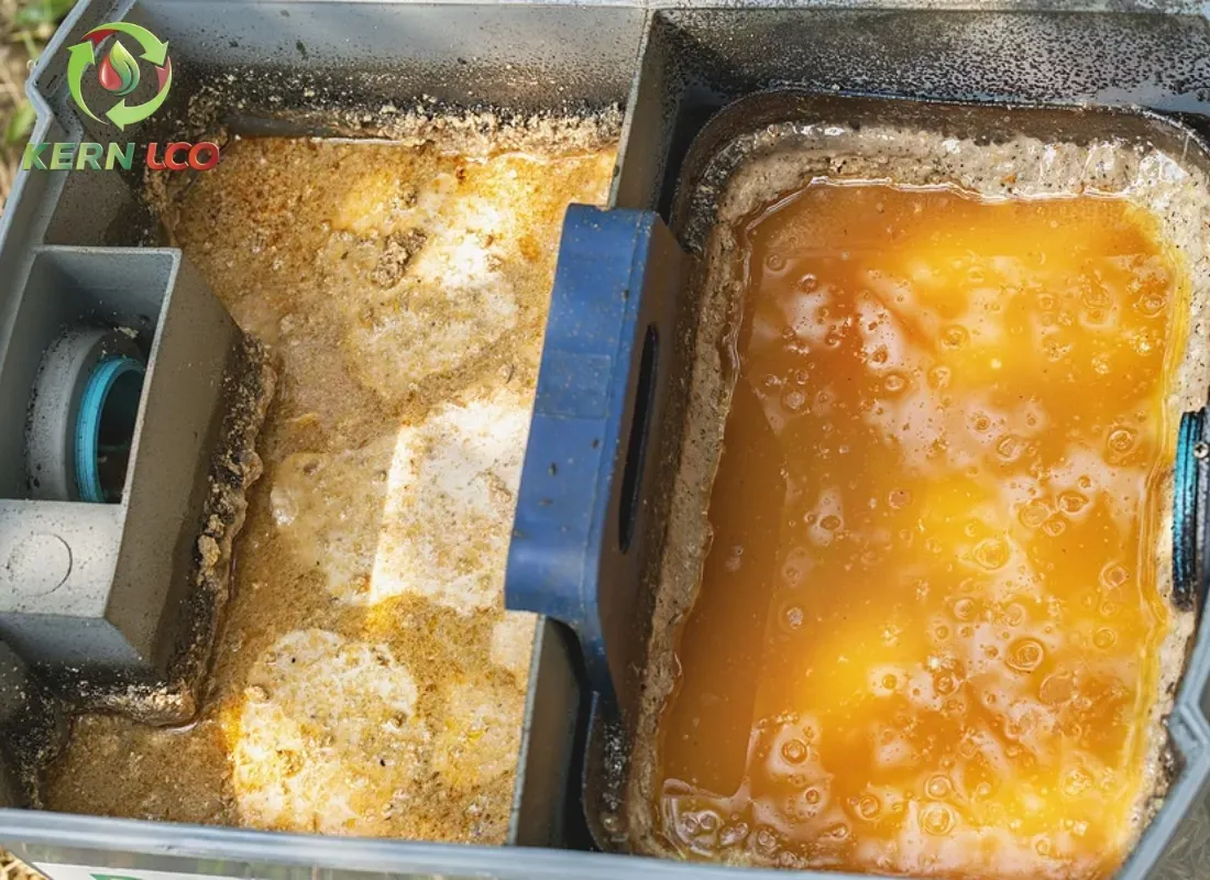 Commercial Kitchen Grease Management: A Complete Guide for Restaurant Owners