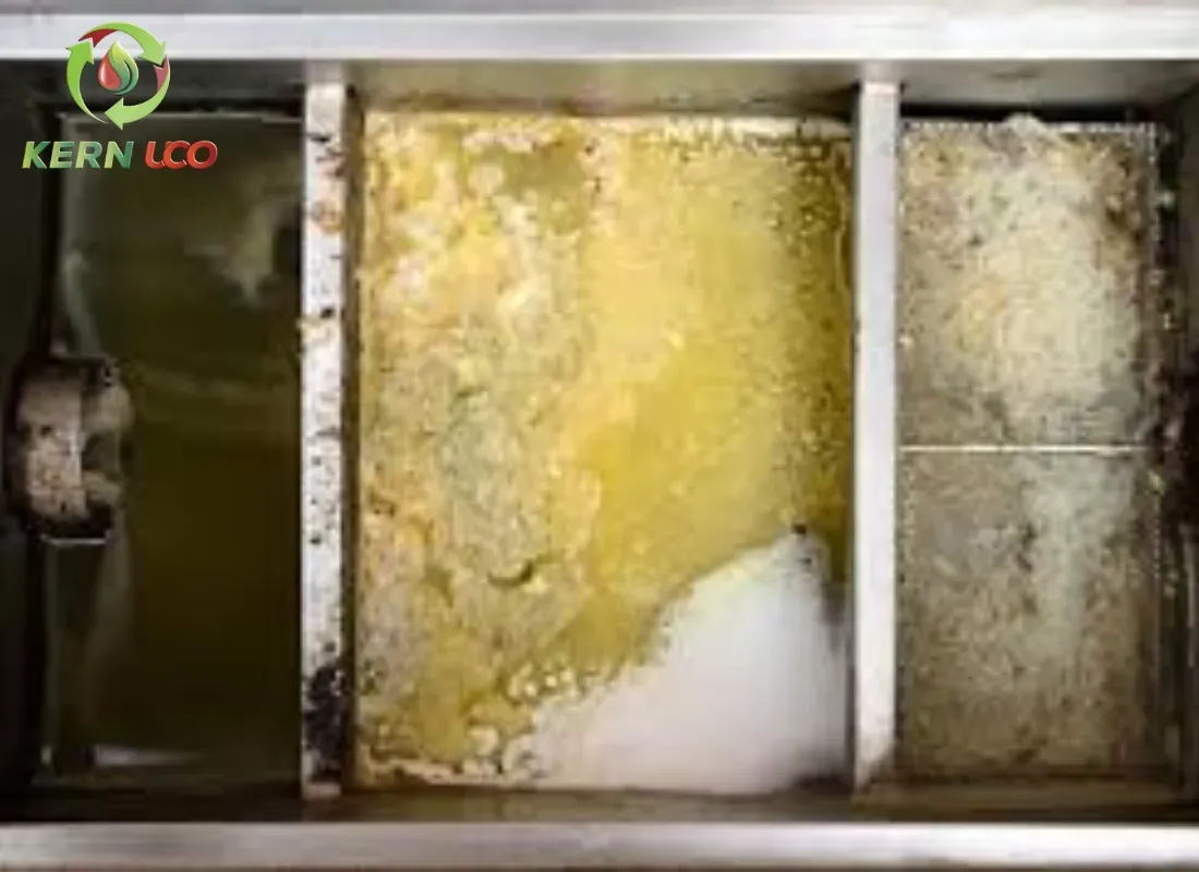 Sustainable Restaurant Operations Begin With Proper Grease Disposal
