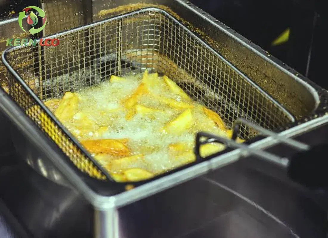 Safer Kitchens, Better Business: Why Oil Waste Management Is Essential