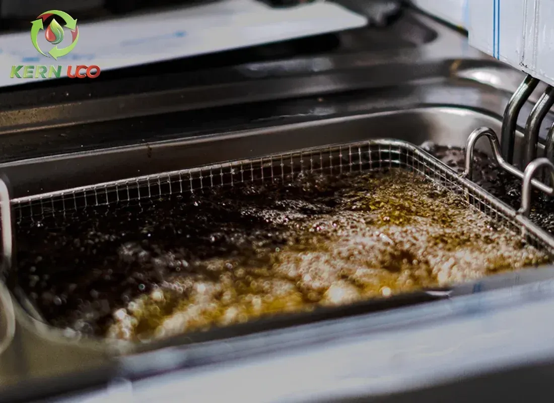 Complete Guide to Used Cooking Oil Collection for Restaurants