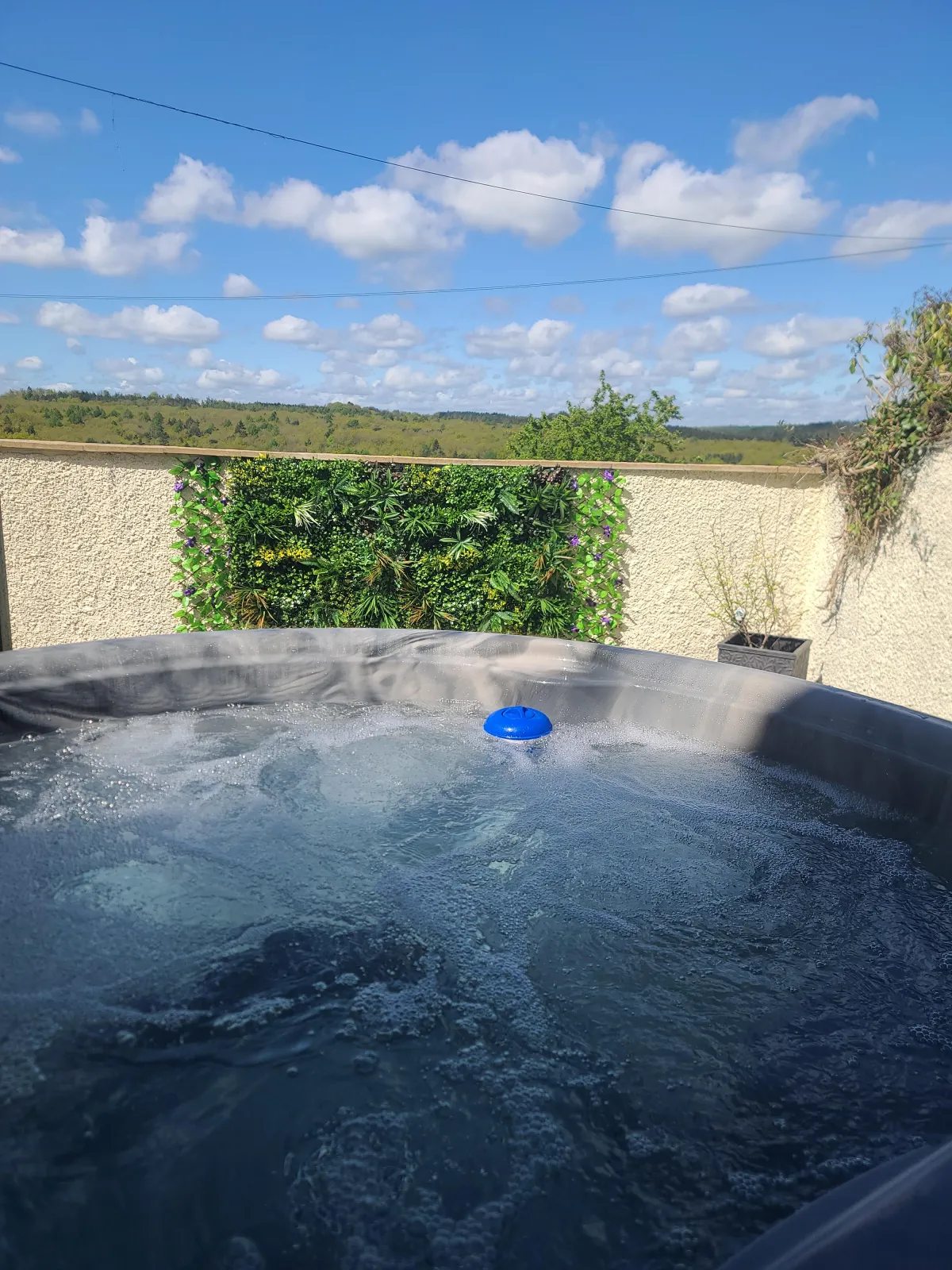 Courtyard garden, living wall and private hot tub