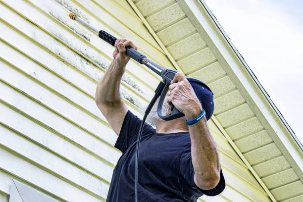 Interior & Exterior Painting 