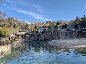 Dallas Zoo
