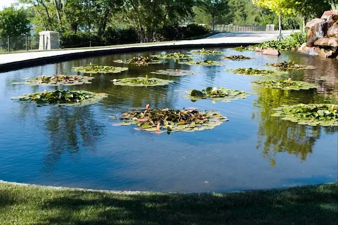 The Dallas Arboretum and Botanical Garden
