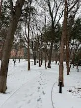 Bosque Park