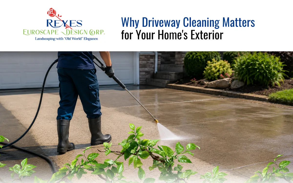 Why Driveway Cleaning Matters for Your Home's Exterior