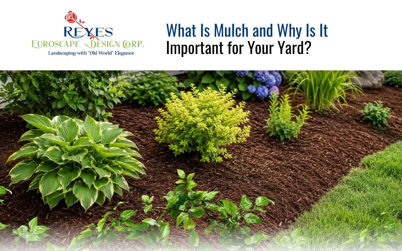 What Is Mulch and Why Is It Important for Your Yard?
