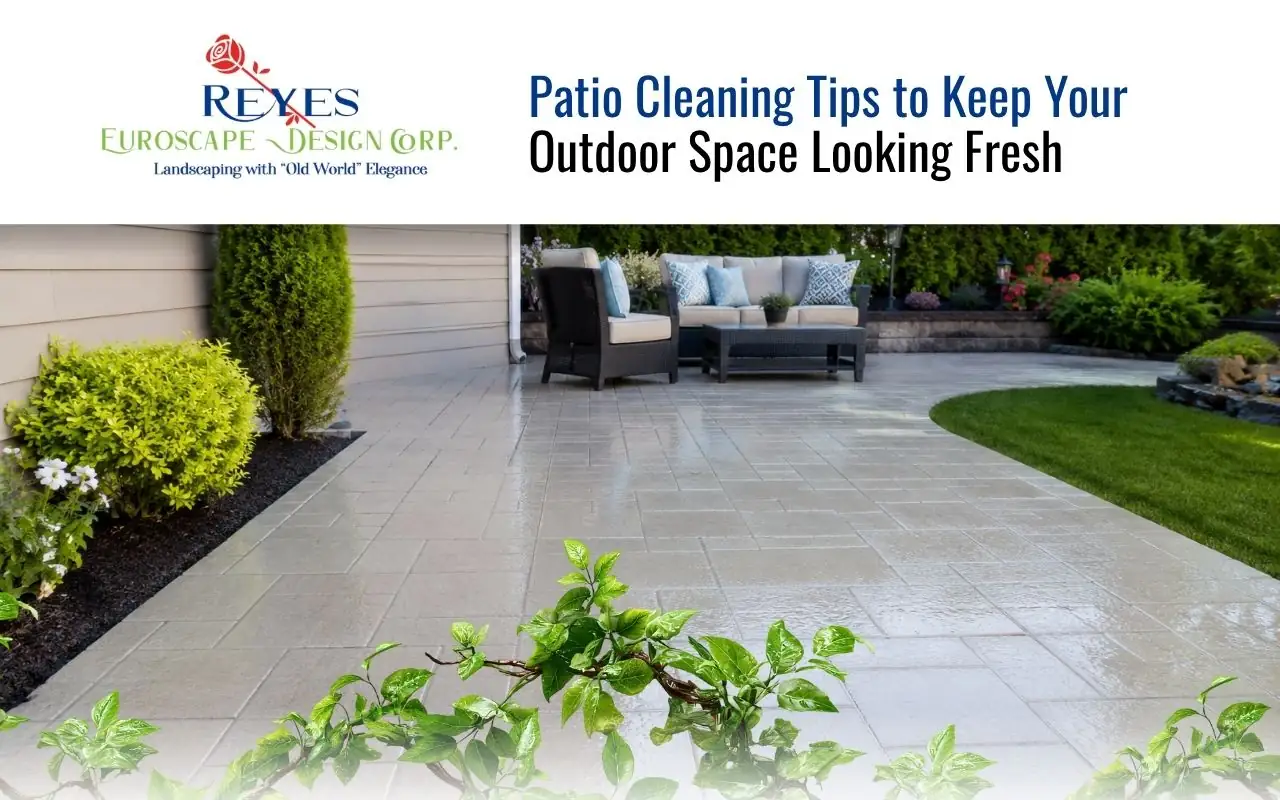 Patio Cleaning Tips to Keep Your Outdoor Space Looking Fresh