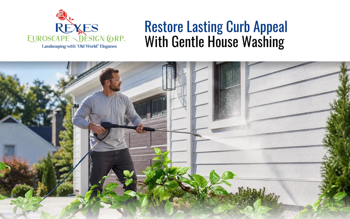 Restore Lasting Curb Appeal With Gentle House Washing