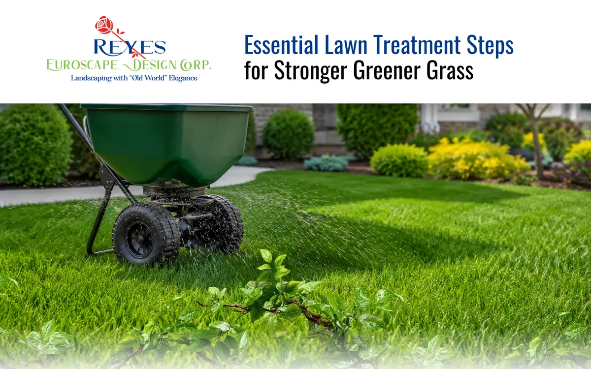 Essential Lawn Treatment Steps for Stronger Greener Grass