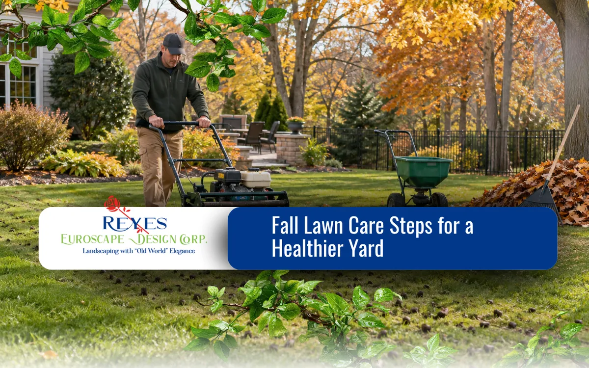 Fall Lawn Care Steps for a Healthier Yard