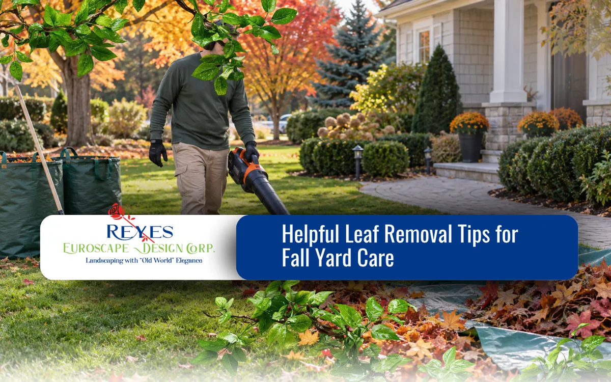 Helpful Leaf Removal Tips for Fall Yard Care