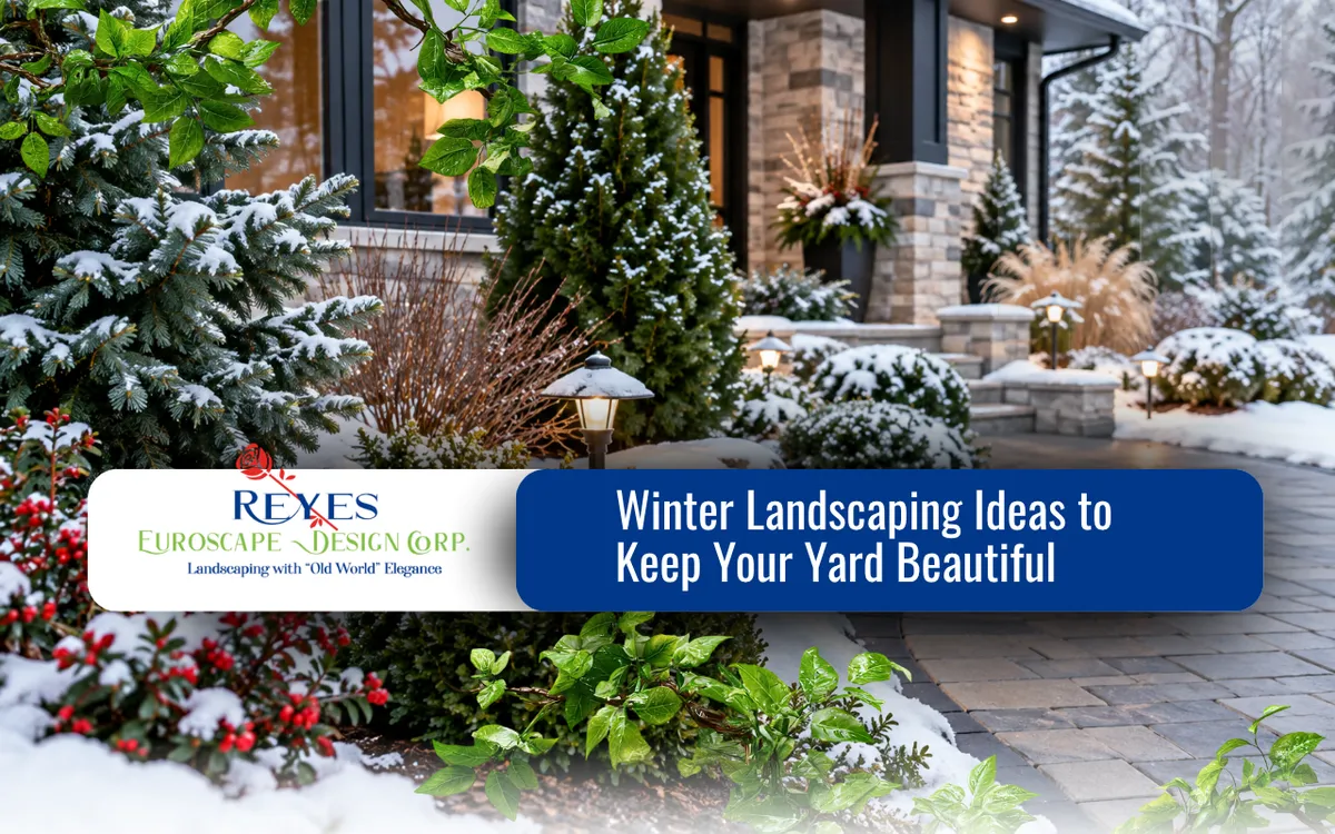 Winter Landscaping Ideas to Keep Your Yard Beautiful