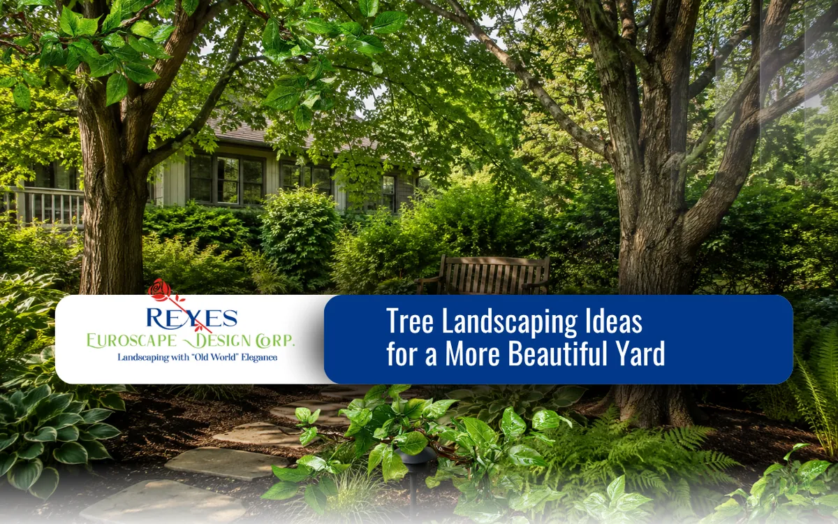  Tree Landscaping Ideas for a Better Outdoor Space