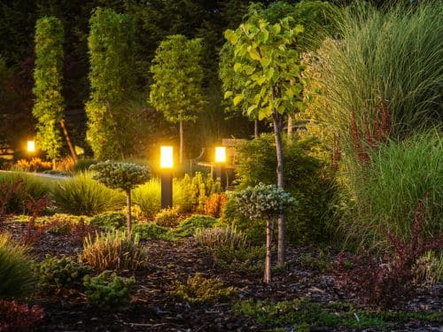 Outdoor Garden Lighting in Portishead