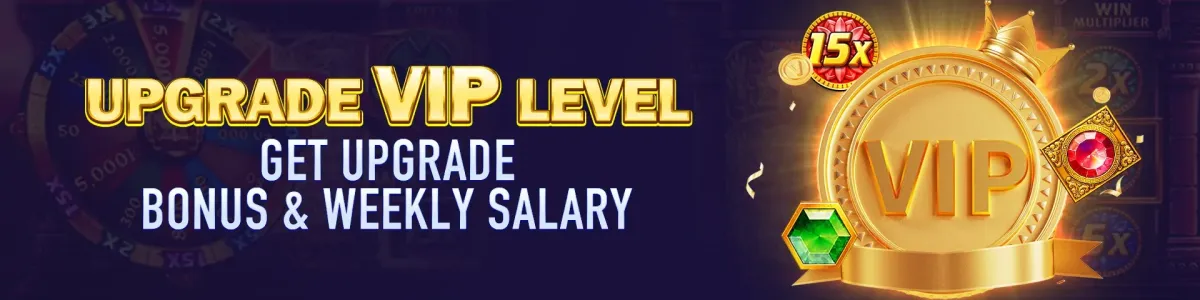 P898 Upgrade VIP level