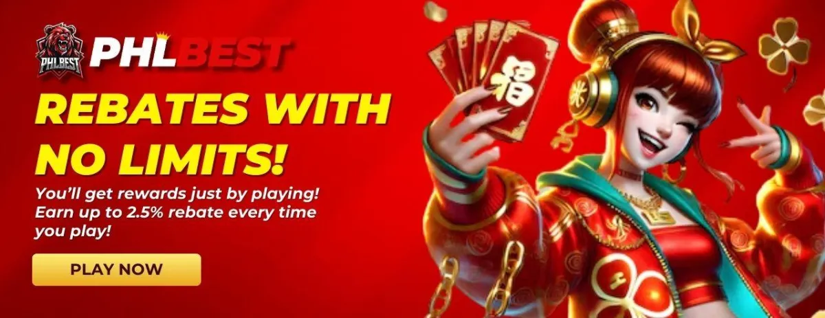 phlbest rebate with ni limits