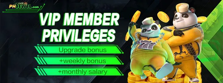 ph58 vip priveleges image