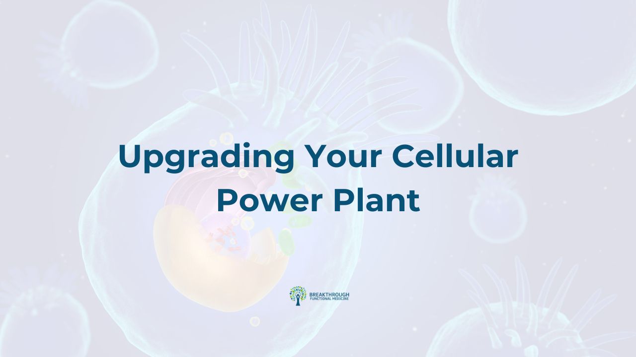 Upgrading Your Cellular Power Plant