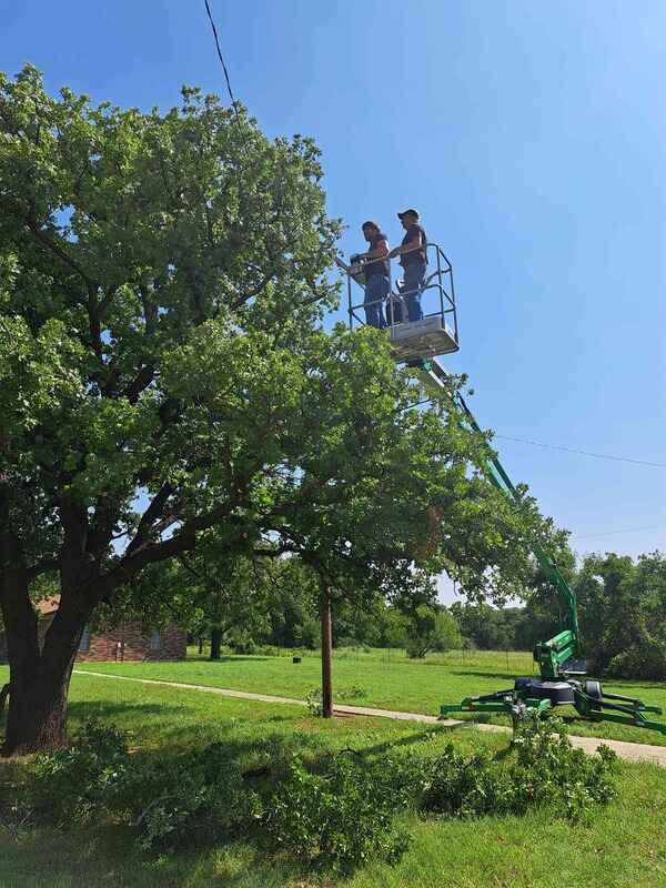 tree service contractor