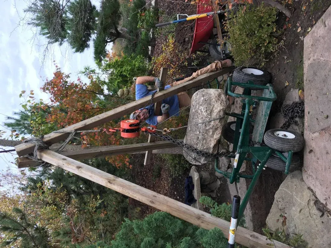 Landscaping 