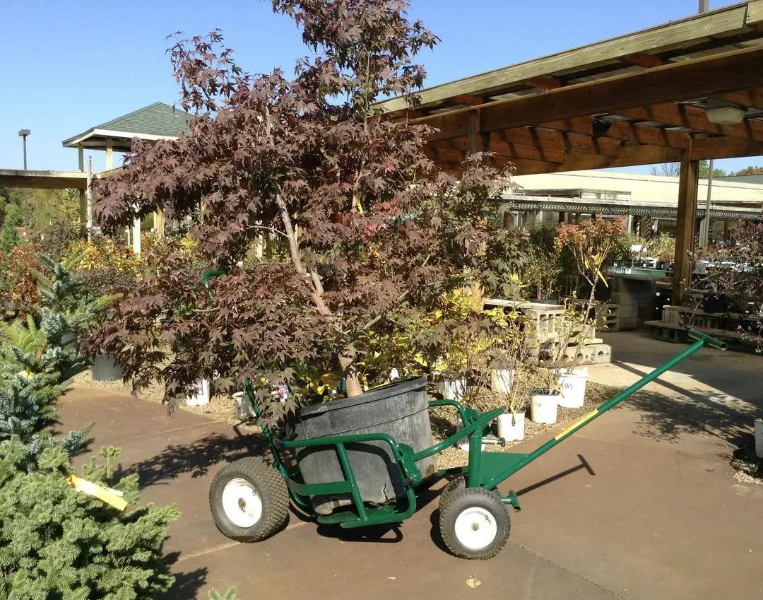  Garden Centers