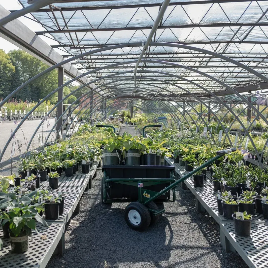 Nurseries 
