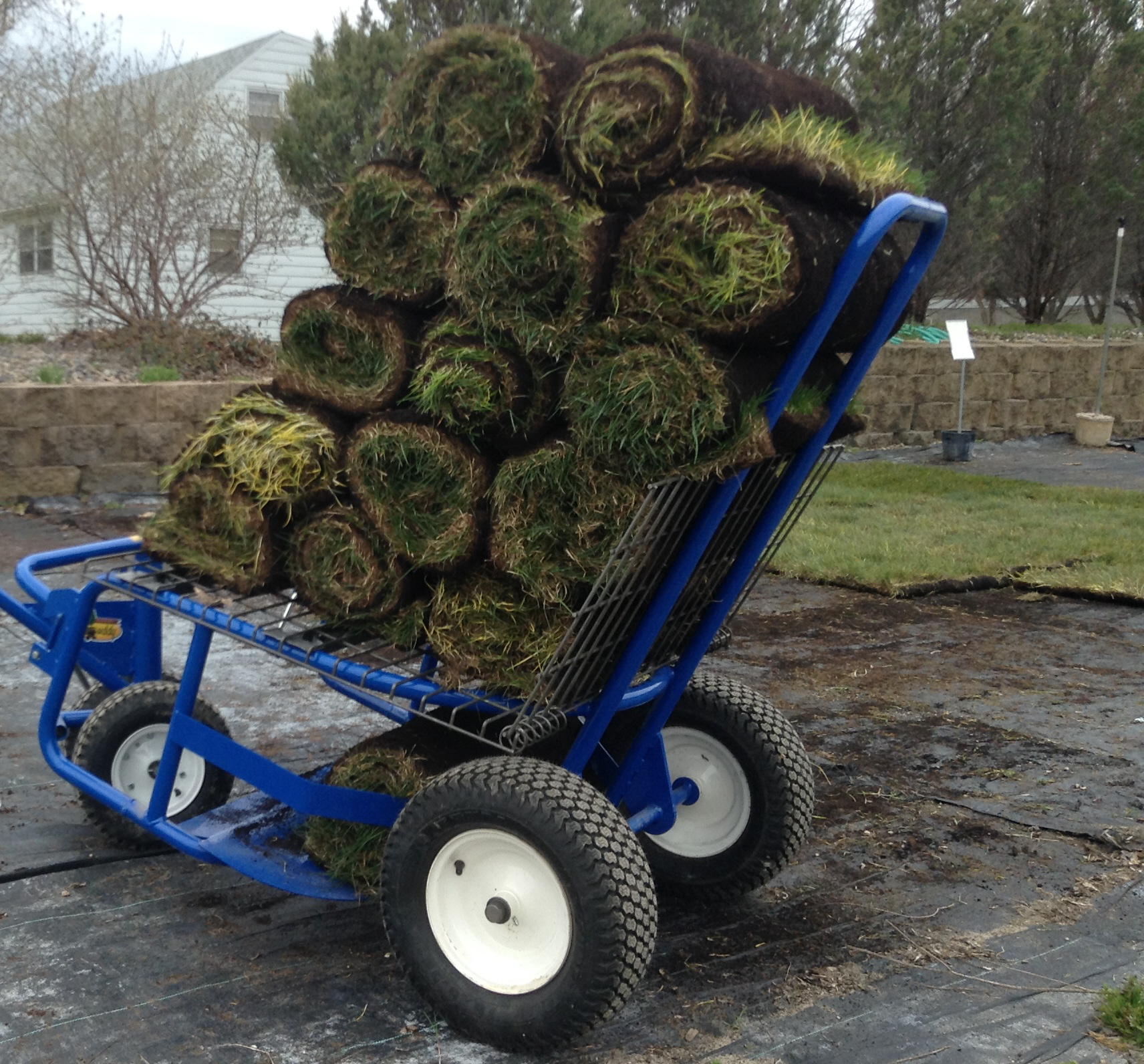 Landscaping in
