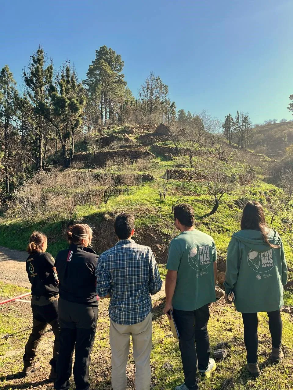 grupo de pruna_las_palmas mirando el monte