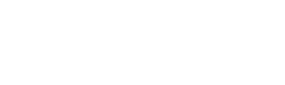 Plant City Screen Enclosures Logo