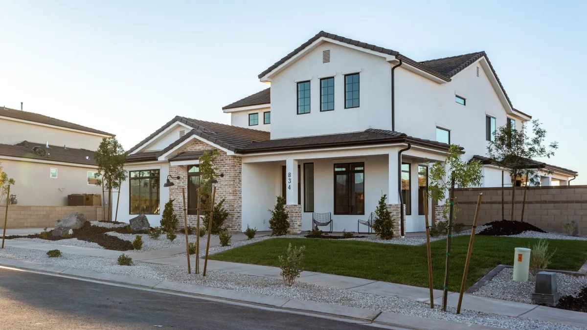 people walking with two camels walking on desert