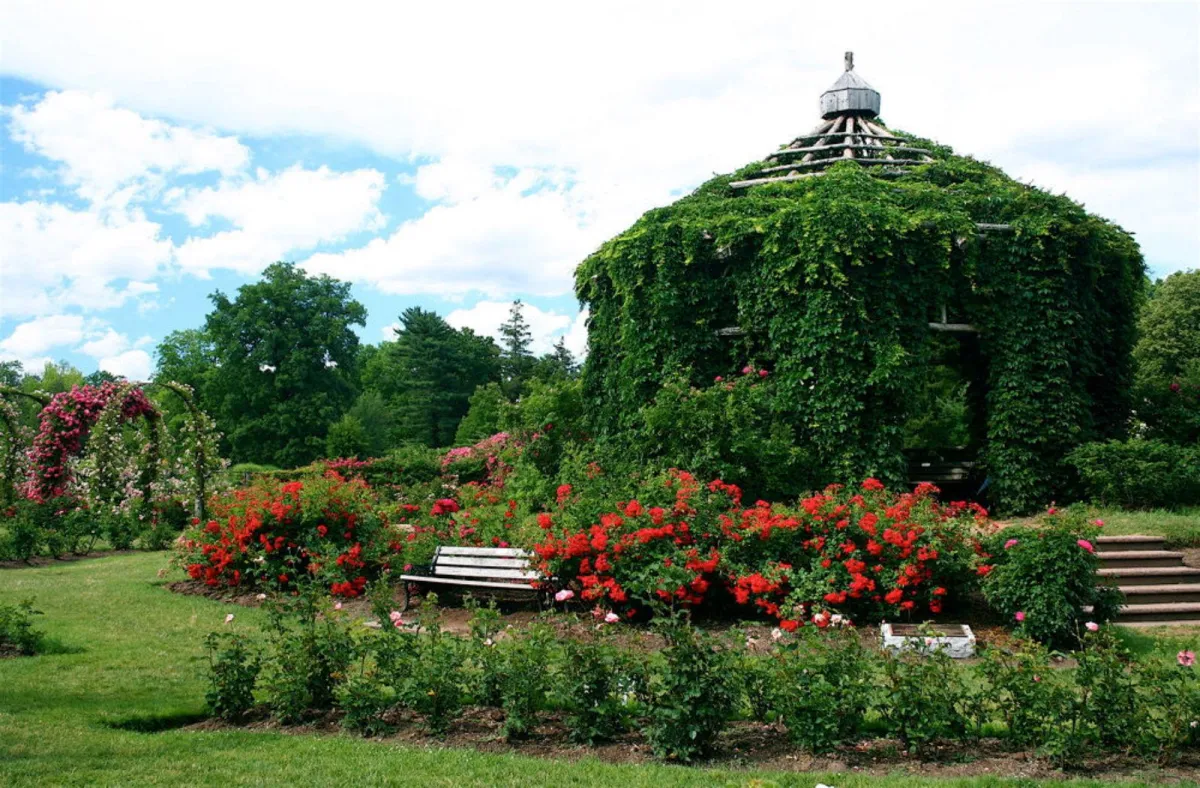 Car Rentals in Hartford, Connecticut: How to Find the Best Rental for Your Trip