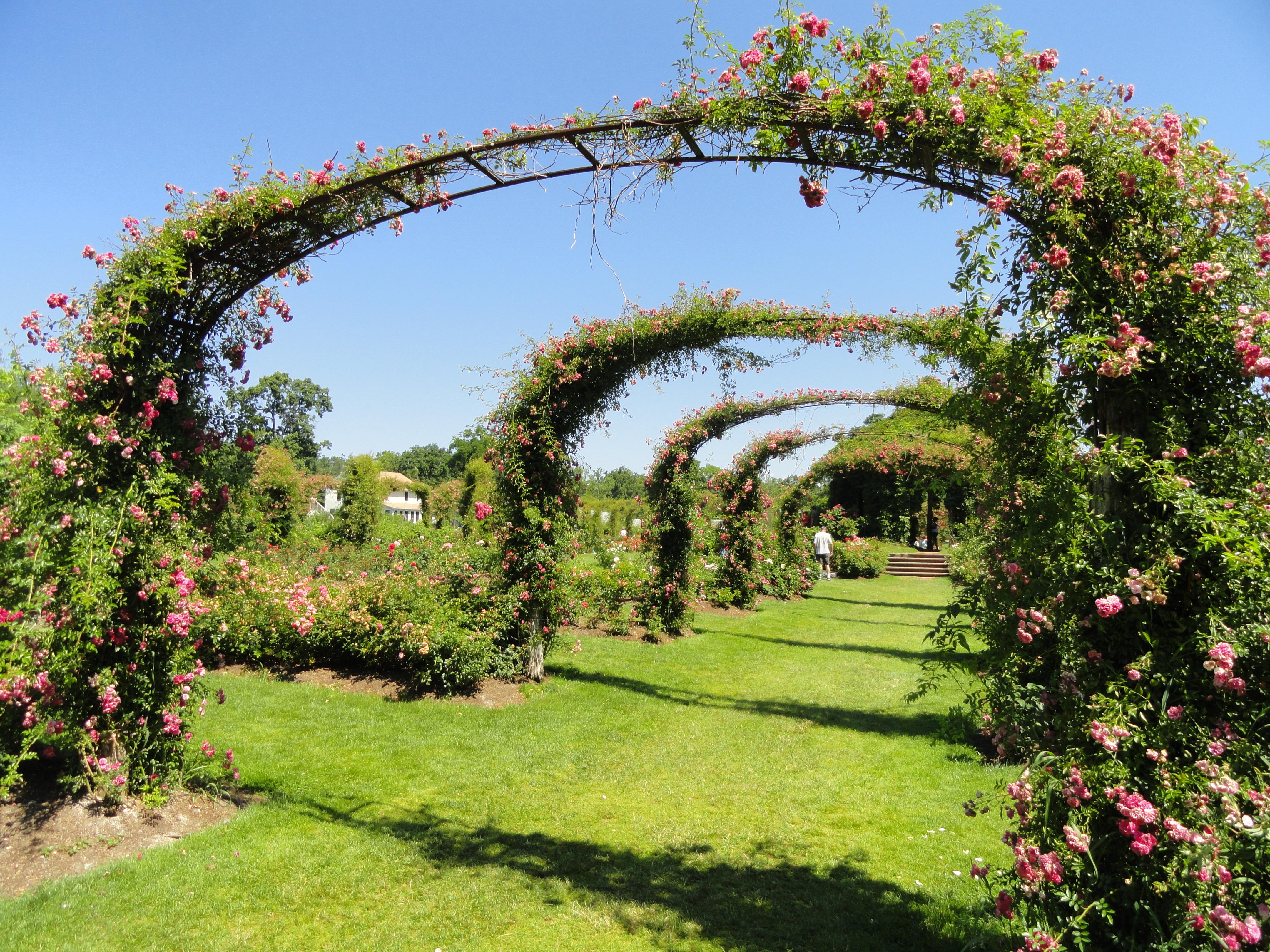 Explore Elizabeth Park Like a Local with a Convenient Rental Car in Hartford